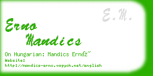 erno mandics business card